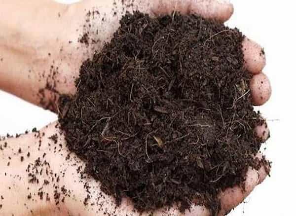 تصویر 5 از قیمت کود ورمی کمپوست کیمیا کمپوست + خرید باور نکردنی